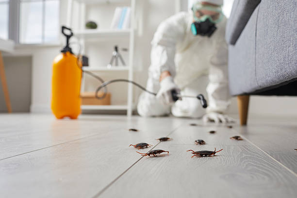 Post-Treatment Bed Bug Interceptor Monitoring in Myerstown