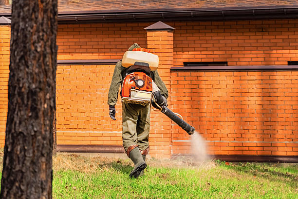 Bed Bug Clearance Verification and Documentation in Myerstown